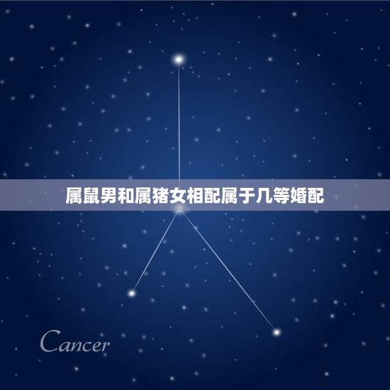 属鼠男和属猪女相配属于几等婚配，属鼠的男人和属猪的女人婚配可以吗？