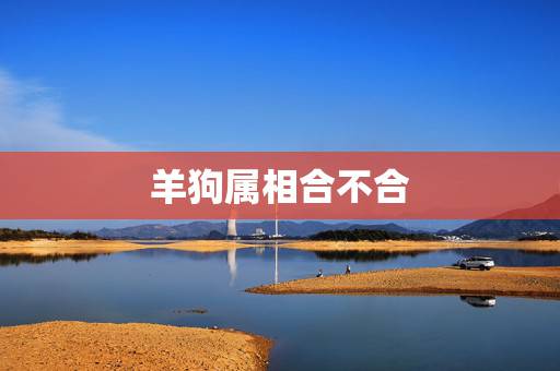 羊狗属相合不合,生肖狗和羊合不合 羊狗属相合不合,生肖狗和羊合不合