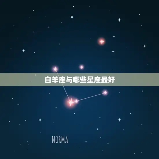 白羊座与哪些星座最好