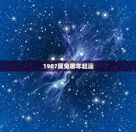 1987属兔哪年起运，87属兔一生有几次婚姻