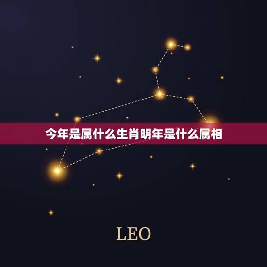 今年是属什么生肖明年是什么属相，明年属什么生肖