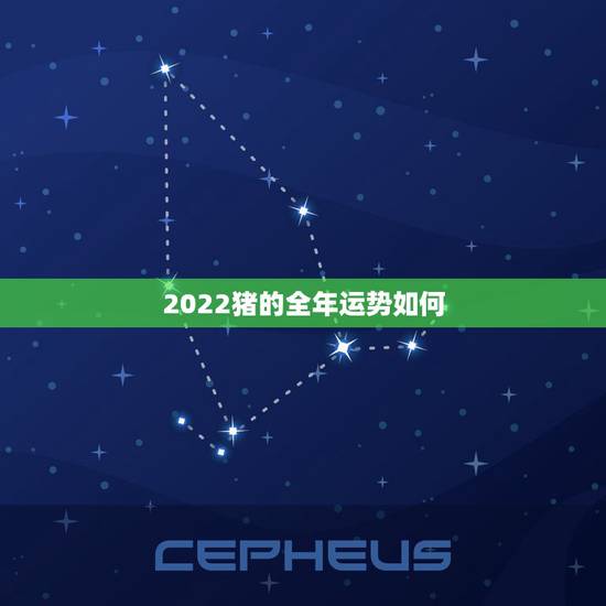 2022猪的全年运势如何,2022年财位在哪里? 2022猪的全年运势如何,2022年财位在哪里?