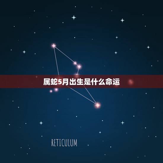 属蛇5月出生是什么命运,属蛇2001年5月出生命怎么样 属蛇5月出生是什么命运,属蛇2001年5月出生命怎么样