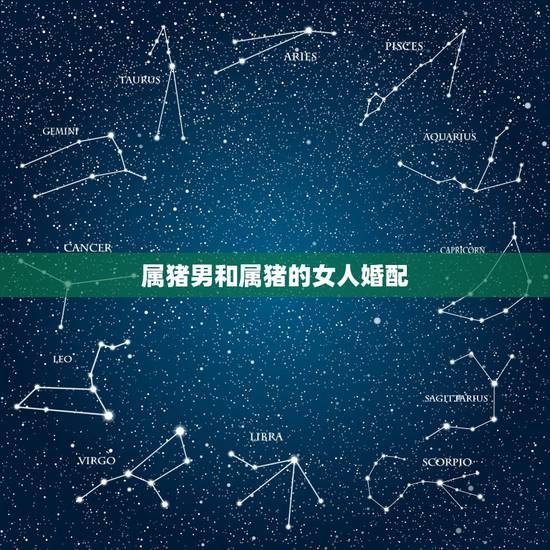 属猪男和属猪的女人婚配，属相婚配：男属猪和女属蛇相配吗