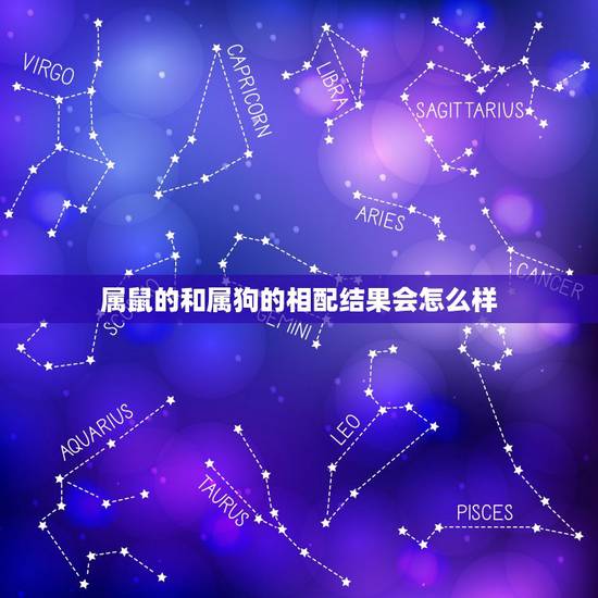 属鼠的和属狗的相配结果会怎么样，属鼠和属狗相配吗？