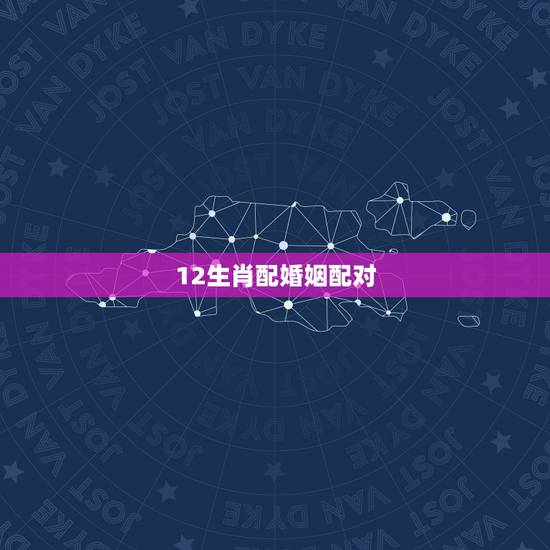 12生肖配婚姻配对，12生肖最佳姻缘配对表
