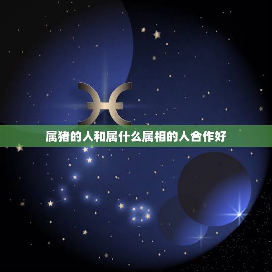 属猪的人和属什么属相的人合作好，属猪人和哪个属相的人合作好