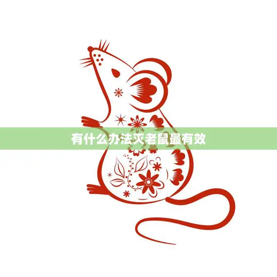 有什么办法灭老鼠最有效(实用方法大揭秘) 有什么办法灭老鼠最有效(实用方法大揭秘)