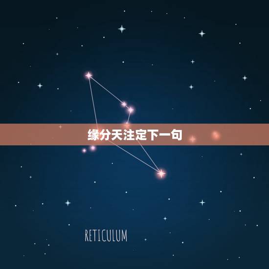 缘分天注定下一句，缘分天注定句子