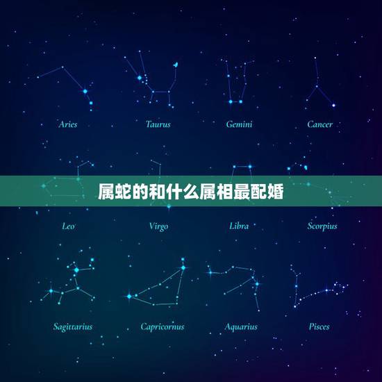 属蛇的和什么属相最配婚，十二生肖中什么与蛇相配