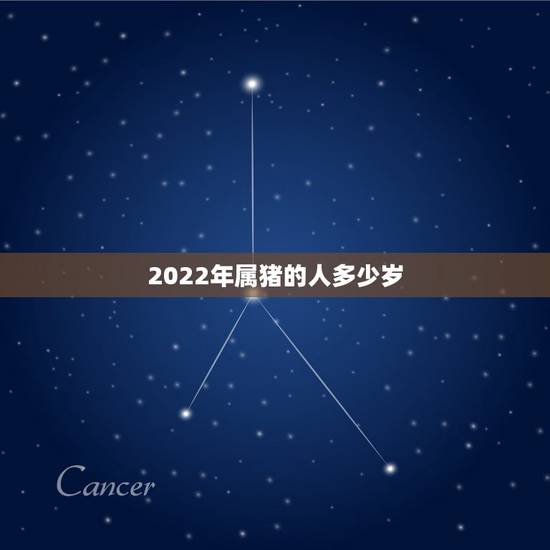 2022年属猪的人多少岁,2022年生肖猴运势凶运 2022年属猪的人多少岁,2022年生肖猴运势凶运