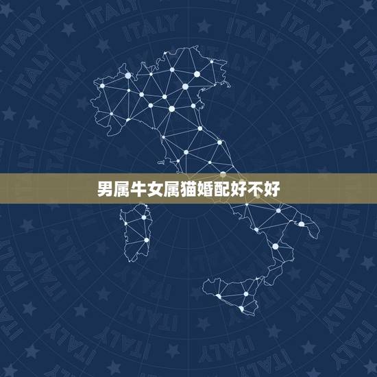 男属牛女属猫婚配好不好，男属牛与女属猪合不合婚