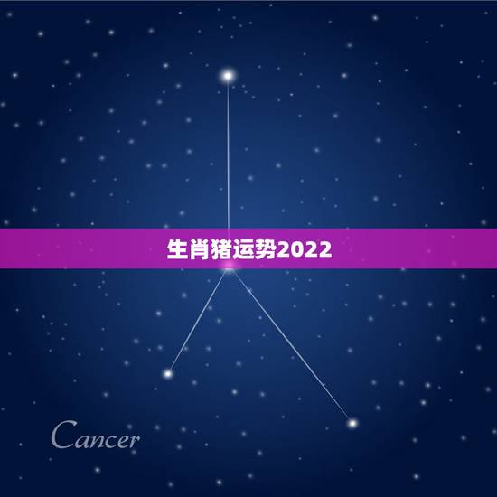 生肖猪运势2022,1983年属猪男2022年每月运势? 生肖猪运势2022,1983年属猪男2022年每月运势?