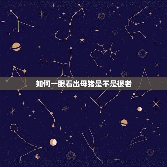 如何一眼看出母猪是不是很老,怎样辨别老母猪年龄 如何一眼看出母猪是不是很老,怎样辨别老母猪年龄