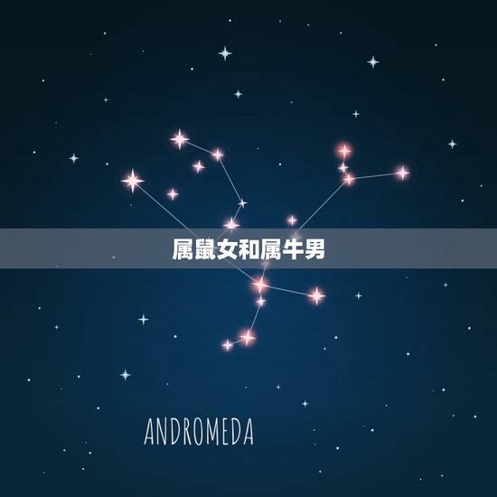 属鼠女和属牛男 属鼠女和属牛男