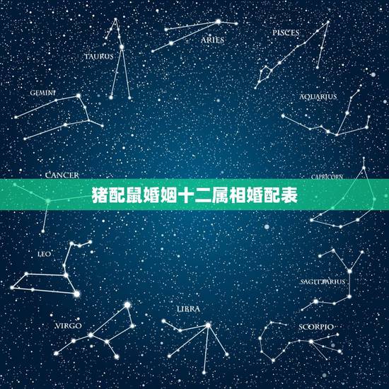 猪配鼠婚姻十二属相婚配表，属猪与属鼠相配吗？
