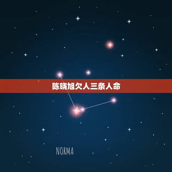 陈晓旭欠人三条人命，陈晓旭死后，据说两亿资产被人侵吞， 这个说法真实性