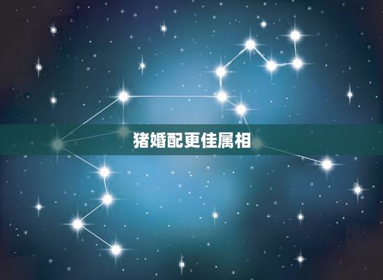 猪婚配更佳属相,1995属猪的三大坎 猪婚配更佳属相,1995属猪的三大坎
