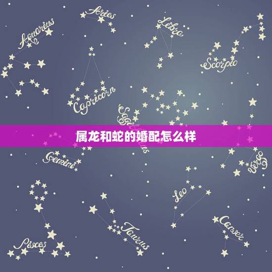 属龙和蛇的婚配怎么样，属蛇的和属龙的配吗