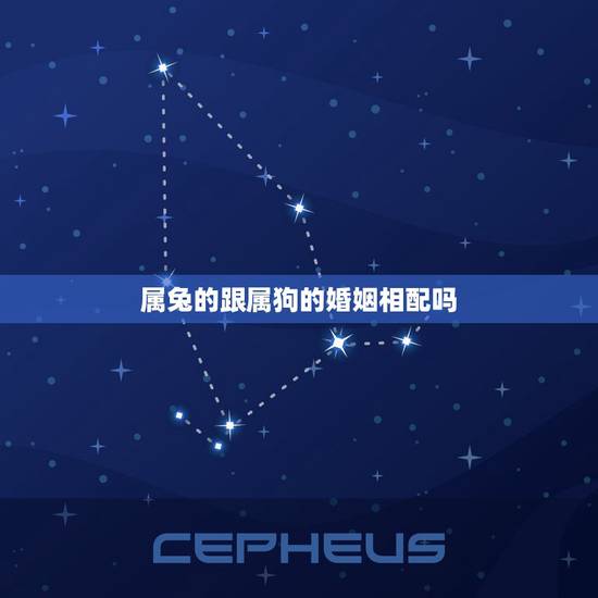 属兔的跟属狗的婚姻相配吗,男属兔女属狗婚姻状况 属兔的跟属狗的婚姻相配吗,男属兔女属狗婚姻状况