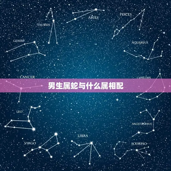 男生属蛇与什么属相配