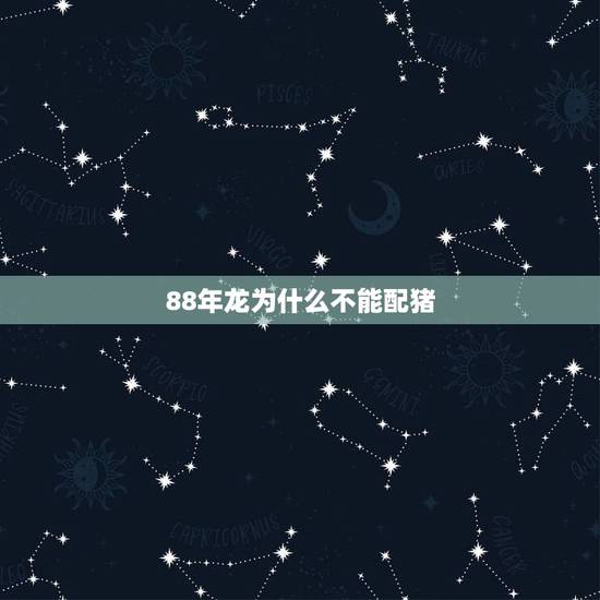 88年龙为什么不能配猪，88年龙和猪在一块怎么样
