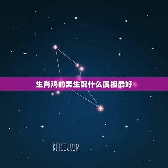 生肖鸡的男生配什么属相最好，属鸡的男人配什么属相好