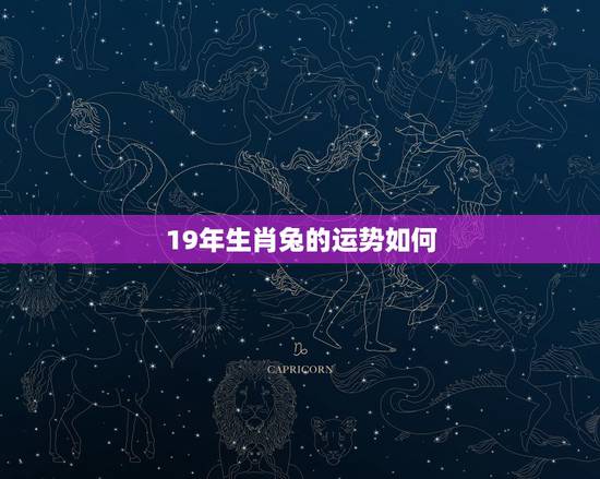 19年生肖兔的运势如何 19年生肖兔的运势如何