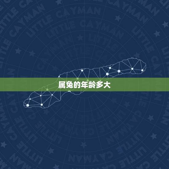属兔的年龄多大,属兔更大年龄是多少岁 属兔的年龄多大,属兔更大年龄是多少岁