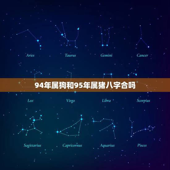 94年属狗和95年属猪八字合吗，女 95年属猪 男 94年属狗 合不合