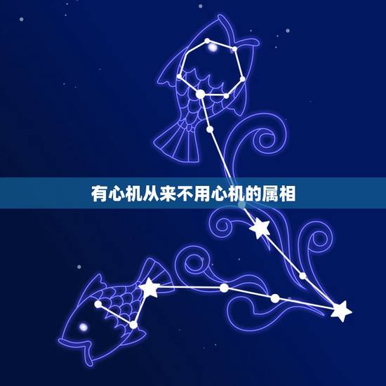 有心机从来不用心机的属相,对谁都笑嘻嘻,最有慈悲心,也没有心计的五大生 有心机从来不用心机的属相,对谁都笑嘻嘻,最有慈悲心,也没有心计的五大生