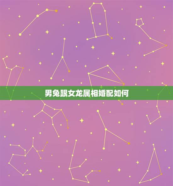 男兔跟女龙属相婚配如何，男属兔与女属龙相配吗