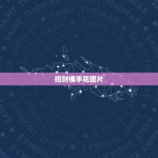 招财佛手花图片,招财佛手花好养吗? 招财佛手花图片,招财佛手花好养吗?