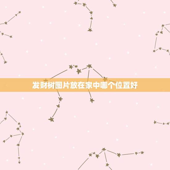 发财树图片放在家中哪个位置好,发财树放置在家里什么位置好 发财树图片放在家中哪个位置好,发财树放置在家里什么位置好