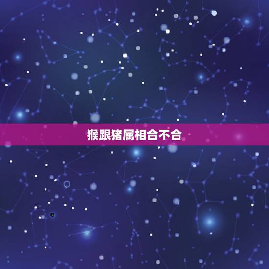 猴跟猪属相合不合，属猴和属猪合不合