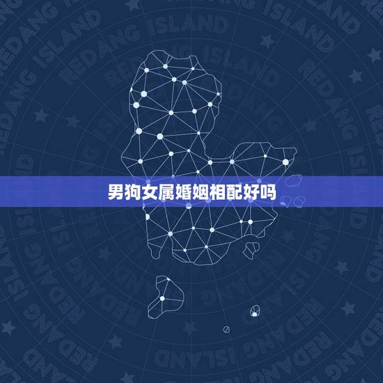 男狗女属婚姻相配好吗,属相婚配:男属兔和女属狗相配吗 男狗女属婚姻相配好吗,属相婚配:男属兔和女属狗相配吗