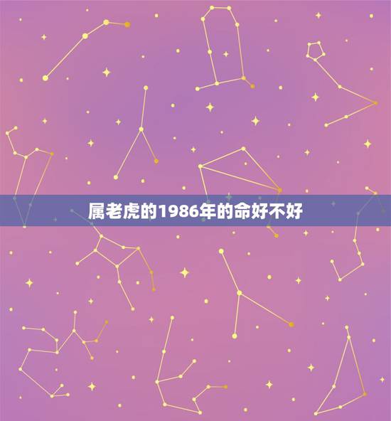 属老虎的1986年的命好不好,2022年的老虎是什么命 属老虎的1986年的命好不好,2022年的老虎是什么命