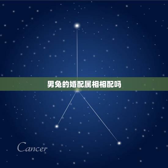 男兔的婚配属相相配吗，男兔和什么属相最配