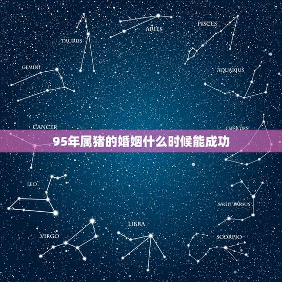 95年属猪的婚姻什么时候能成功，95年属猪与属猪的姻缘咋样