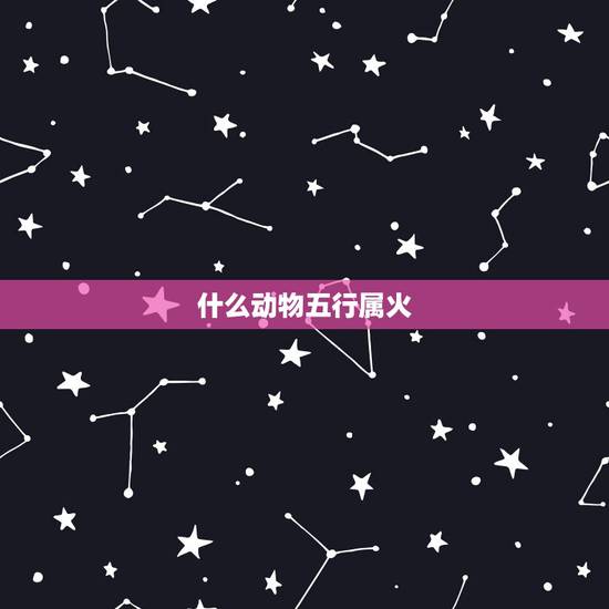 什么动物五行属火，12生肖什么动物属火