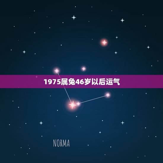 1975属兔46岁以后运气,75年属兔未来十年运势 1975属兔46岁以后运气,75年属兔未来十年运势