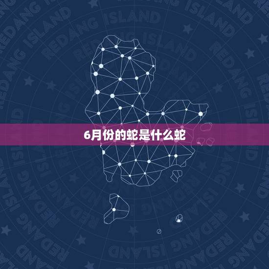 6月份的蛇是什么蛇,蛇的更佳婚配 6月份的蛇是什么蛇,蛇的更佳婚配