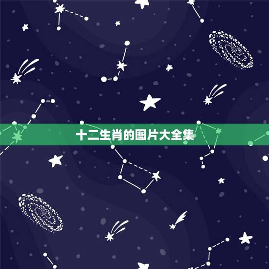 十二生肖的图片大全集,12生肖拟人美女图 十二生肖的图片大全集,12生肖拟人美女图