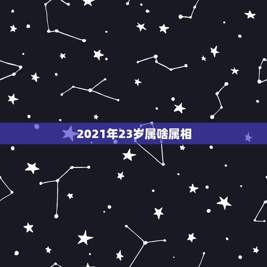 2021年23岁属啥属相,父亲属狗,母亲属猪,今年2023年,2021 2021年23岁属啥属相,父亲属狗,母亲属猪,今年2023年,2021