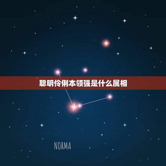 聪明伶俐本领强是什么属相,聪明伶俐本领强生肖 聪明伶俐本领强是什么属相,聪明伶俐本领强生肖