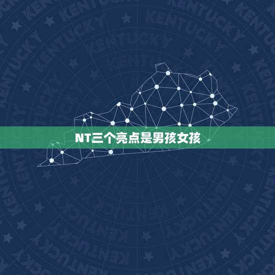 NT三个亮点是男孩女孩,nt看男女方法 图 NT三个亮点是男孩女孩,nt看男女方法 图