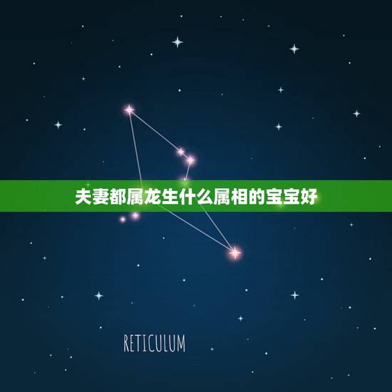 夫妻都属龙生什么属相的宝宝好，夫妻都属龙，生个啥宝宝好