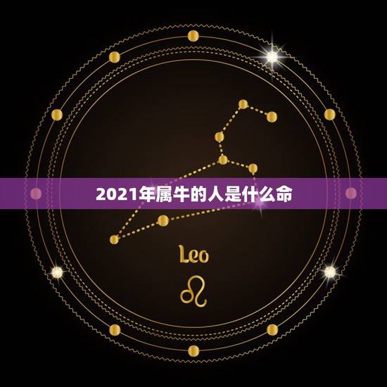 2021年属牛的人是什么命，2021年是什么命