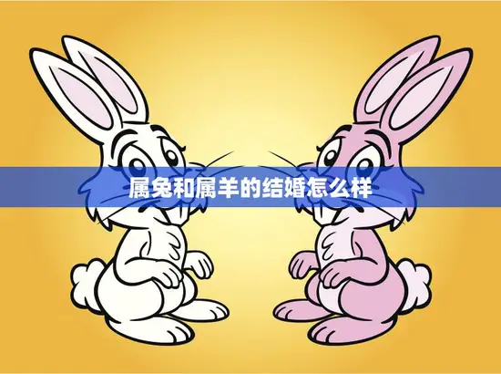 属兔和属羊的结婚怎么样(幸福美满的秘诀) 属兔和属羊的结婚怎么样(幸福美满的秘诀)