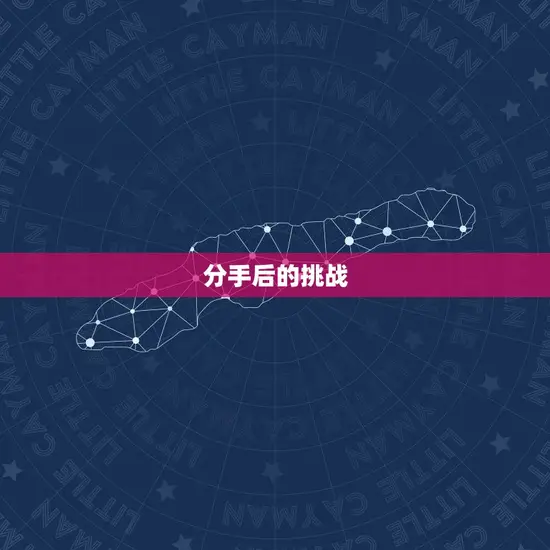 分手后的挑战